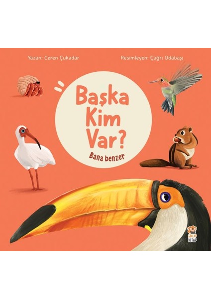 Bana Benzer - Başka Kim Var