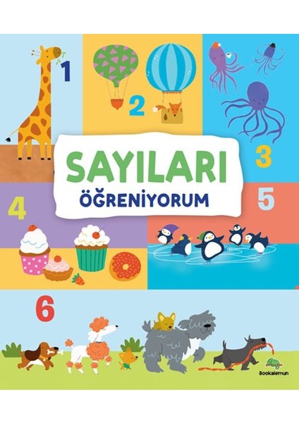Sayıları Öğreniyorum