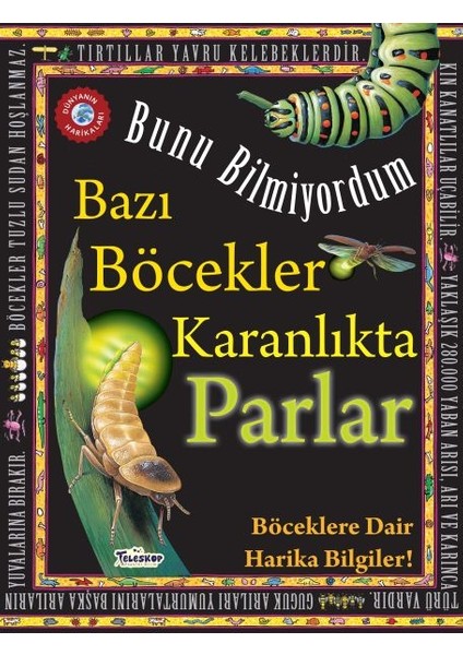 Bazı Böcekler Karanlıkta Parlar - Bunu Bilmiyordum - Böceklere Dair Harika Bilgiler!
