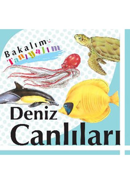 Bakalım Tanıyalım Deniz Canlıları (Ciltli)