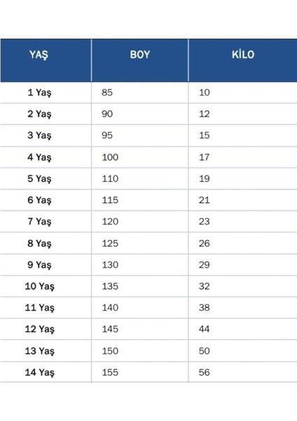 Bêşiktâş,/ 25-26 Yeni Sezon Vaclav Cerny //18 Futbol Forması- Çubuklu modelleri