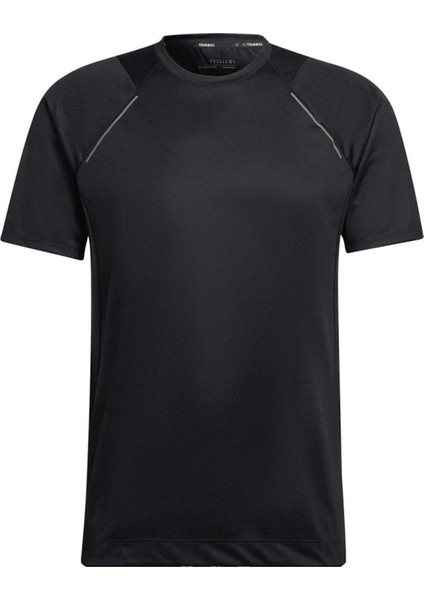 Yetişkin Formaları