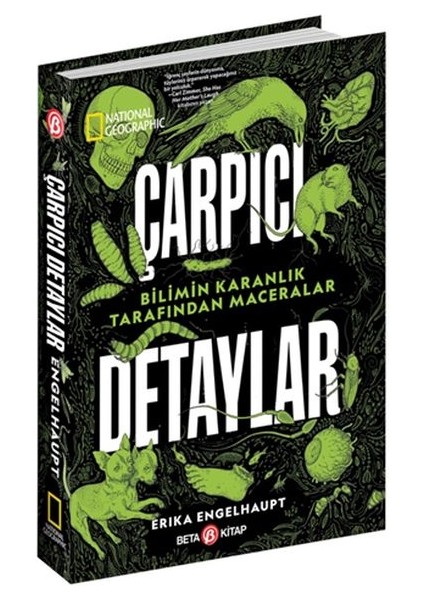 National Geographic - Çarpıcı Detaylar