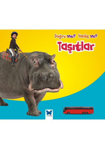 Taşıtlar / Doğru Mu? Yanlış Mı?