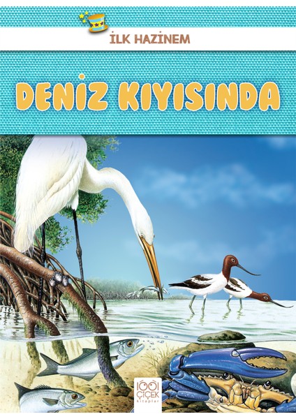 Ilk Hazinem - Deniz Kıyısında