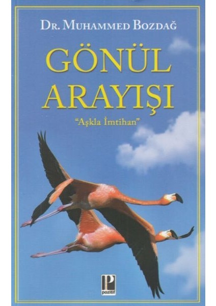 Gönül Arayışı