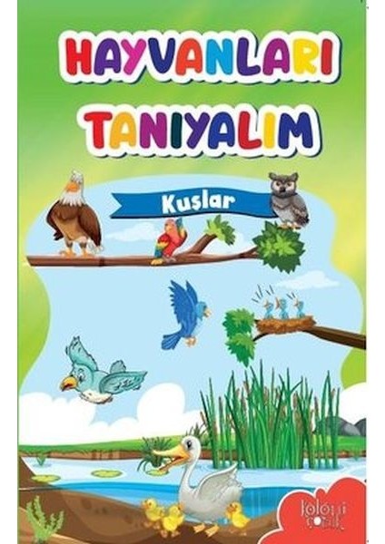 Muhteşem Çizimler ve Kolay Anlatım ile Hayvanları Tanıyalım Kuşlar