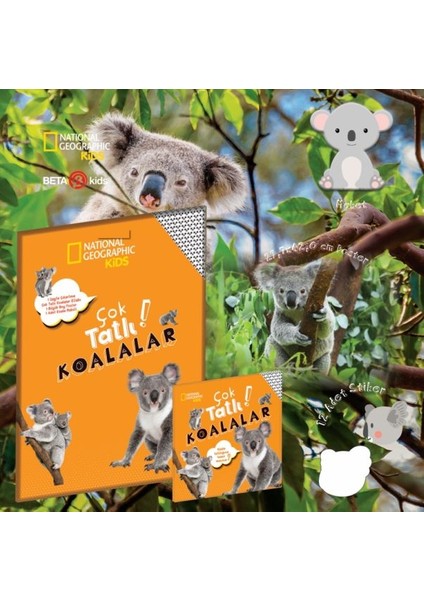 Çok Tatlı Koalalar - National Geographic Kids
