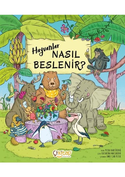 Hayvanlar Nasıl Beslenir ?