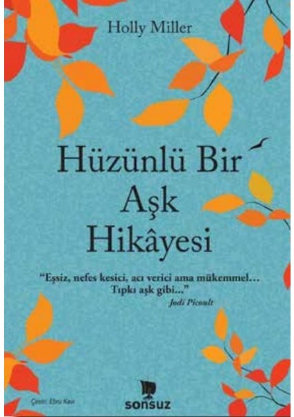 Hüzünlü Bir Aşk Hikâyesi