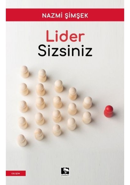 Lider Sizsiniz