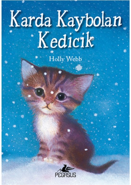 Karda Kaybolan Kedicik