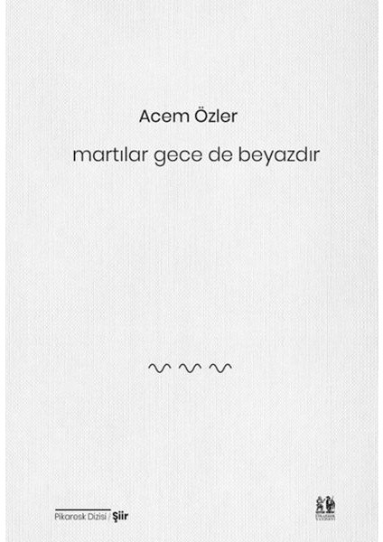 Martılar Gece De Beyazdır