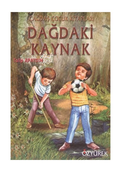 Dağdaki Kaynak