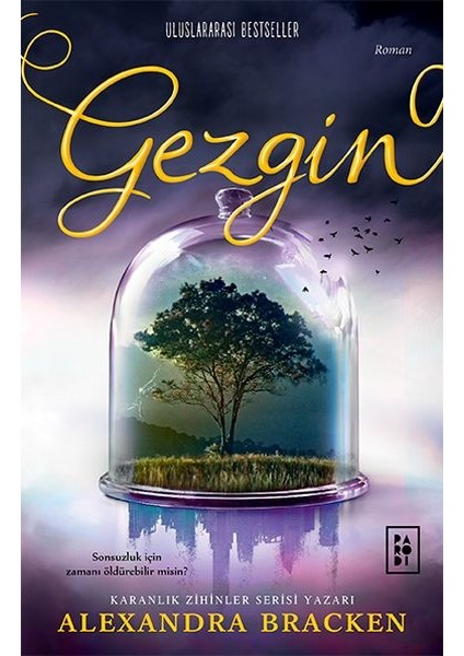 Yolcu Serisi 2. Kitap - Gezgin