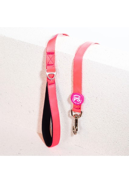 Kedi Köpek Düz Renk Sevk Kayışı 120 cm