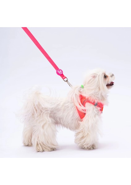 Kedi Köpek Düz Renk Sevk Kayışı 120 cm fiyatları