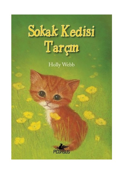 Sokak Kedisi Tarçın