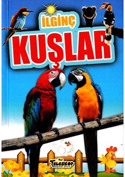 Ilginç Kuşlar - Ilginç Bilgiler Serisi