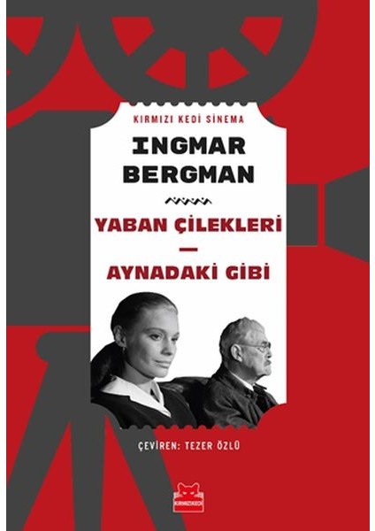 Yaban Çilekleri - Aynadaki Gibi