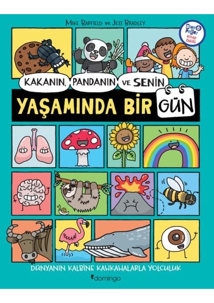 Kakanın, Pandanın ve Senin Yaşamında Bir Gün