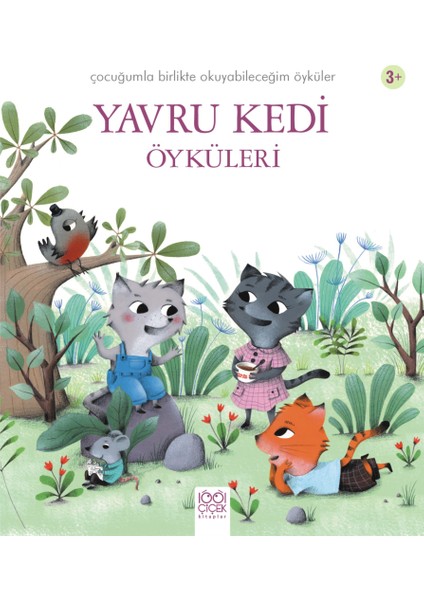 Yavru Kedi Öyküleri