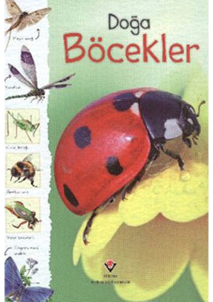 Doğa - Böcekler