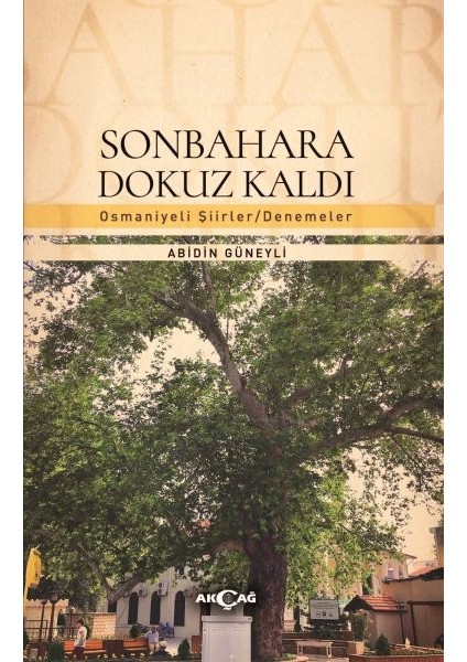 Sonbahara Dokuz Kaldı