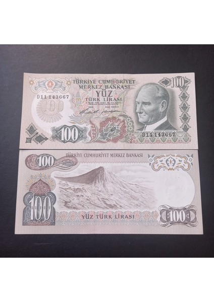 Escoines 3996368F6C6C0C54E6 6.emisyon D11 Serisi 100TÜRK-LIRASI Çil