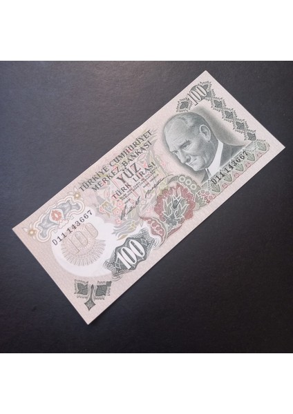 Escoines 3996368F6C6C0C54E6 6.emisyon D11 Serisi 100TÜRK-LIRASI Çil modelleri