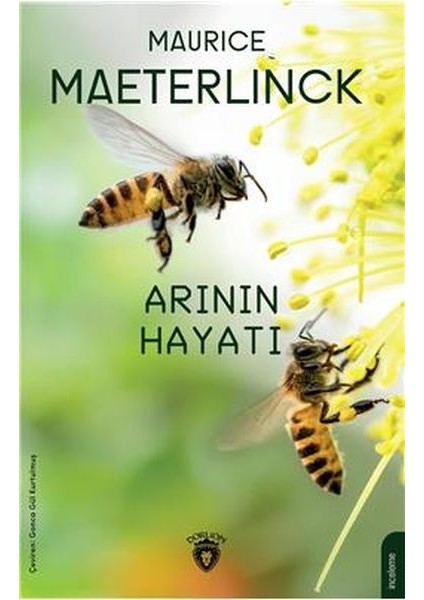 Arının Hayatı