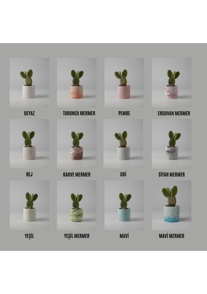 Dekoratif Beton Mini Saksı 7x7 cm - Kaktüs ve Sukulent Bitkileri Için Modern Renkli Beton Saksı - Ev ve Ofis Dekorasyonu fırsatları