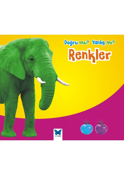 Renkler / Doğru Mu Yanlış Mı?