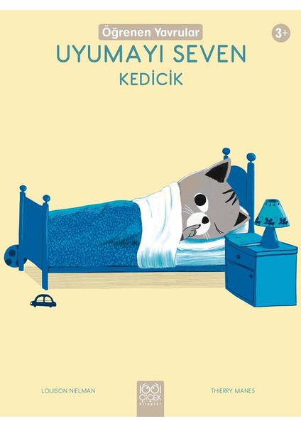 Uyumayı Seven Kedicik - Öğrenen Yavrular