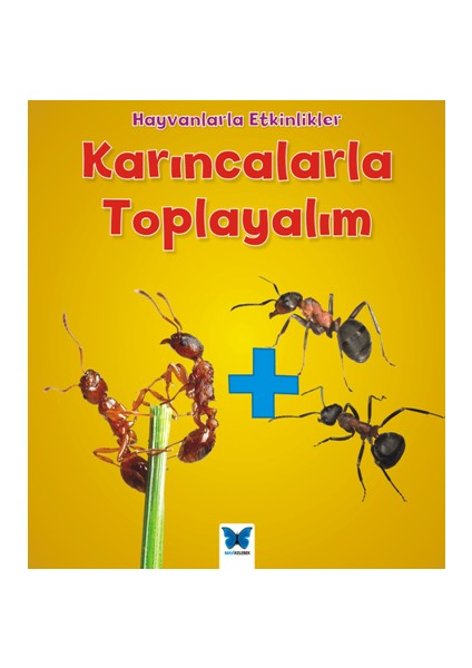 Hayvanlarla Etkinlikler - Karıncalarla Toplayalım