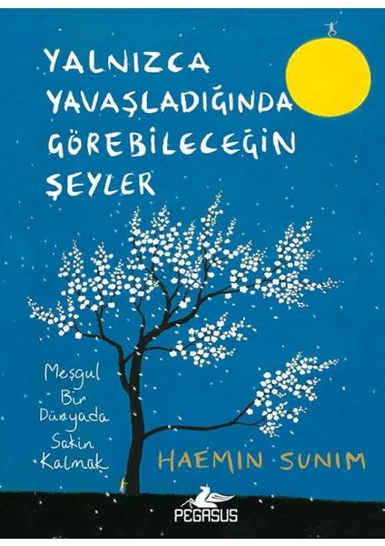 Yalnızca Yavaşladığında Görebileceğin Şeyler (Ciltli)