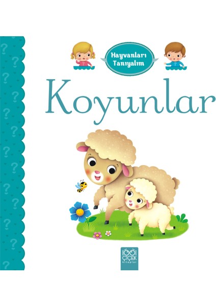 Hayvanları Tanıyalım - Koyunlar