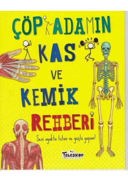 Çöp Adamın Kas ve Kemik Rehberi