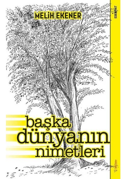 Başka Dünyanın Nimetleri