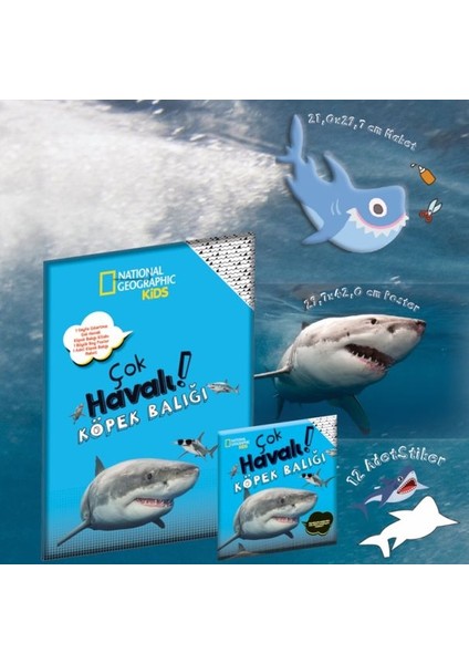 Çok Havalı Köpek Balığı - National Geographic Kids