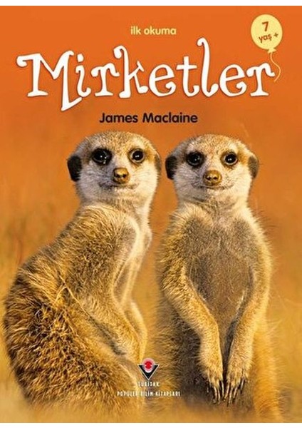 Ilk Okuma - Mirketler