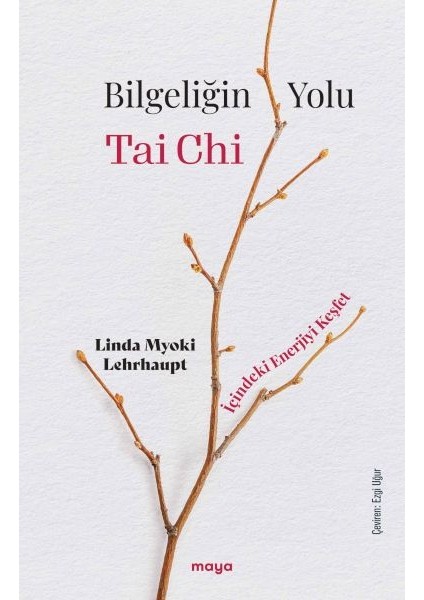 Bilgeliğin Yolu Tai Chi