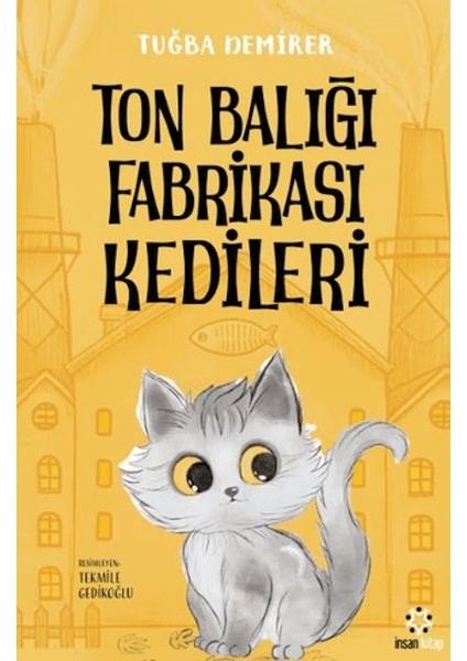 Ton Balığı Fabrikası Kedileri