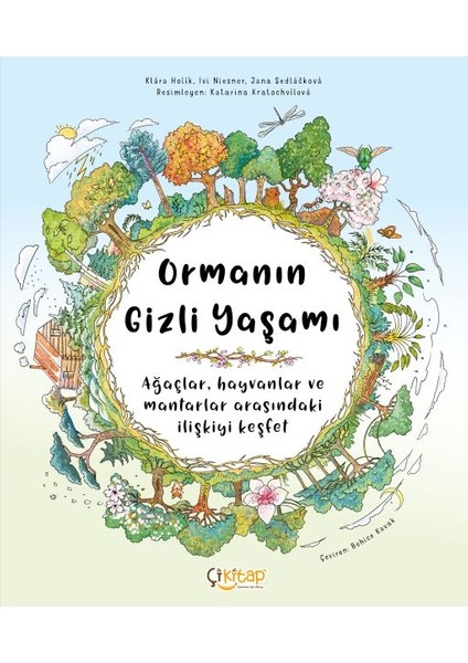 Ormanın Gizli Yaşamı