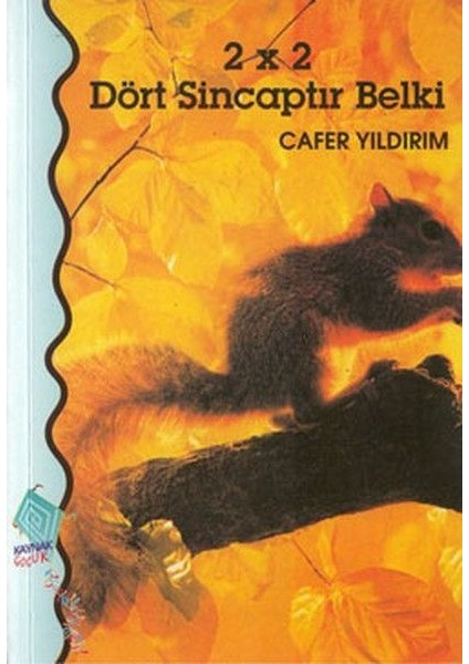 2 x 2 Dört Sincaptır Belki