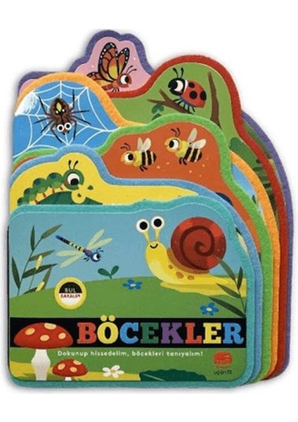 Bul Bakalım Böcekler