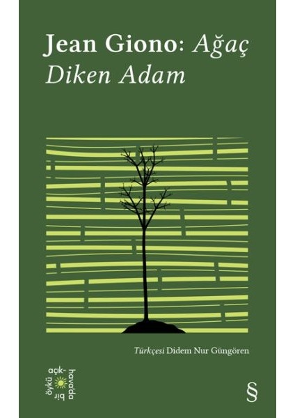 Ağaç Diken Adam - Everest Açıkhava 17