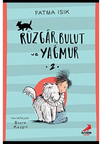 Rüzgar Bulut ve Yağmur-2