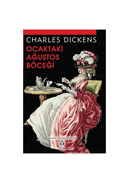 Ocaktaki Ağustos Böceği