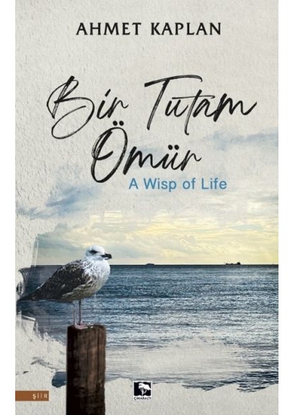 Bir Tutam Ömür